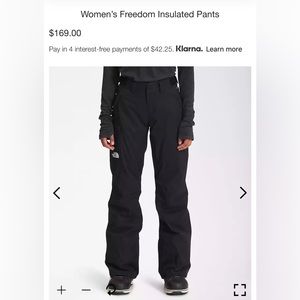 The North Face Freedom Insulated snow pants